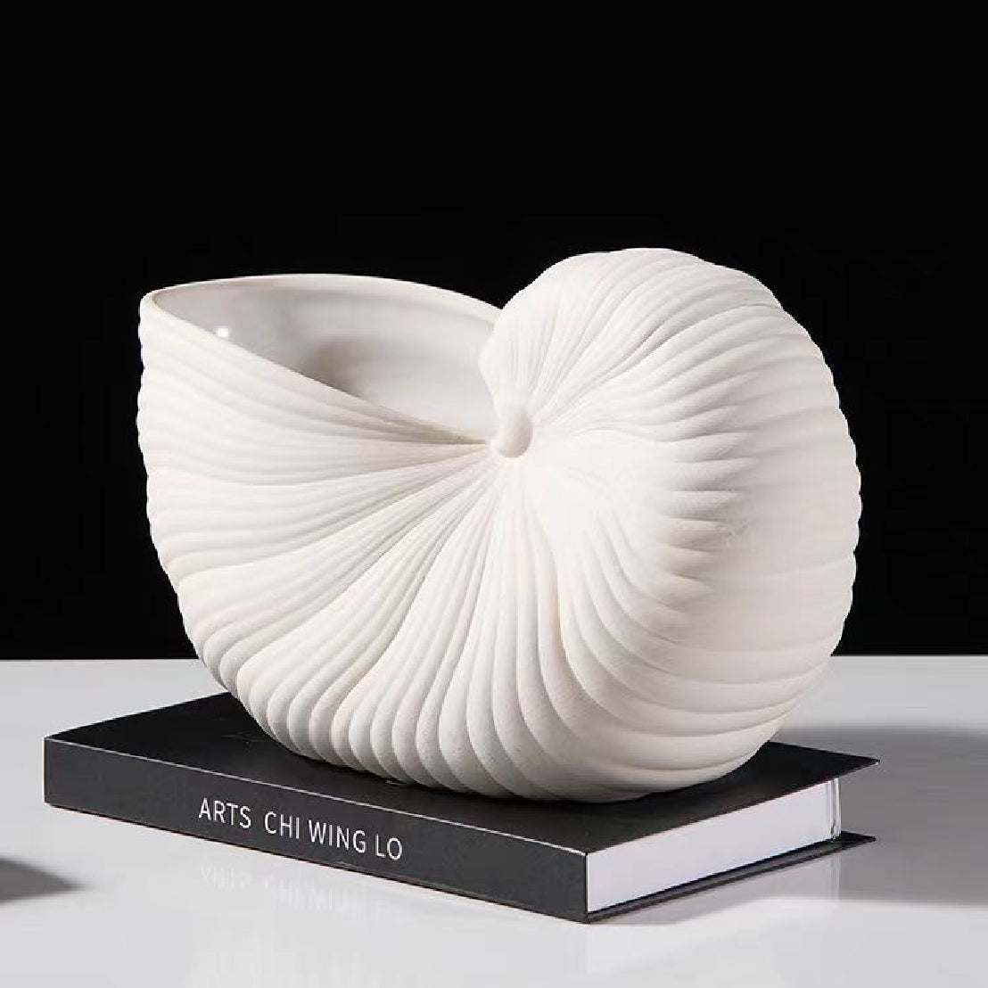 オウムの貝殻の彫刻 - 樹脂ビーチをテーマにした海のオーナメント ホワイト樹脂海岸貝ラック ホームデコレーション 8.66 x 3.94 x 5.51インチ