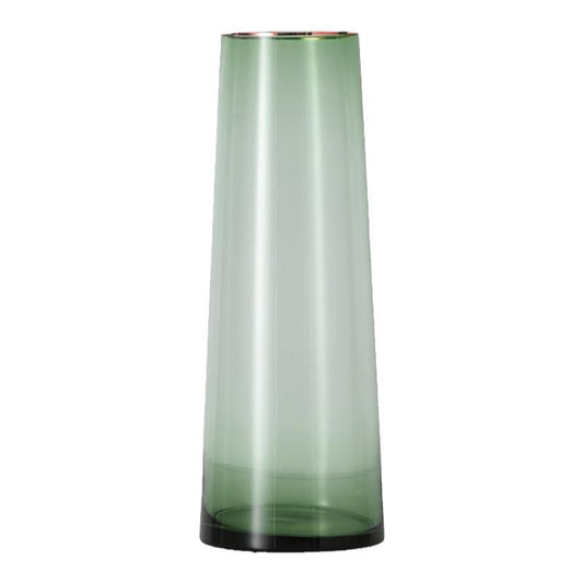 PickMeYA Transparent Glass vase with Green Border Decoration Living Room Dining Table Flower Arranger Home Decor（Green）