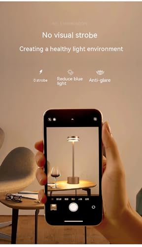 PickMeYA Touch lamp Nightlight 12.6 inches Hotel Bedroom Bedside lamp Charging bar Table lamp Cordless Battery-Powered LED Portable lamp(1 Piece)
