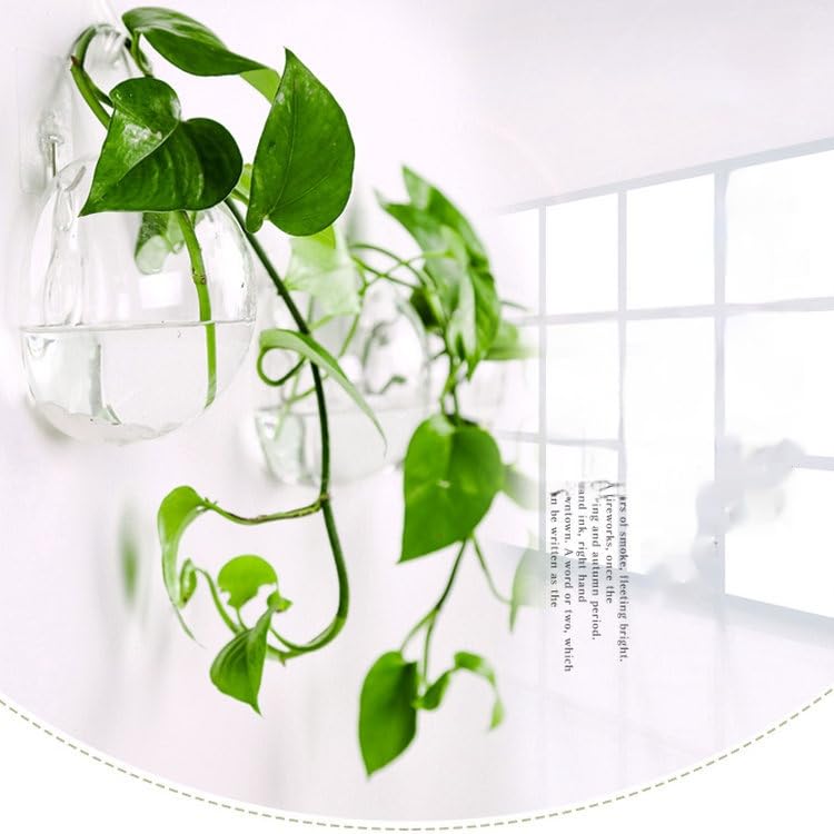 PickMeYA Hanging Greenery Hydroponic Vase - Creative Wall Decor Glass Vase for Wall Hanging, Transparent Wall-Mounted Flower Vase for Hydroponic Plants, Home Office, Living Room Decor,Set of 3