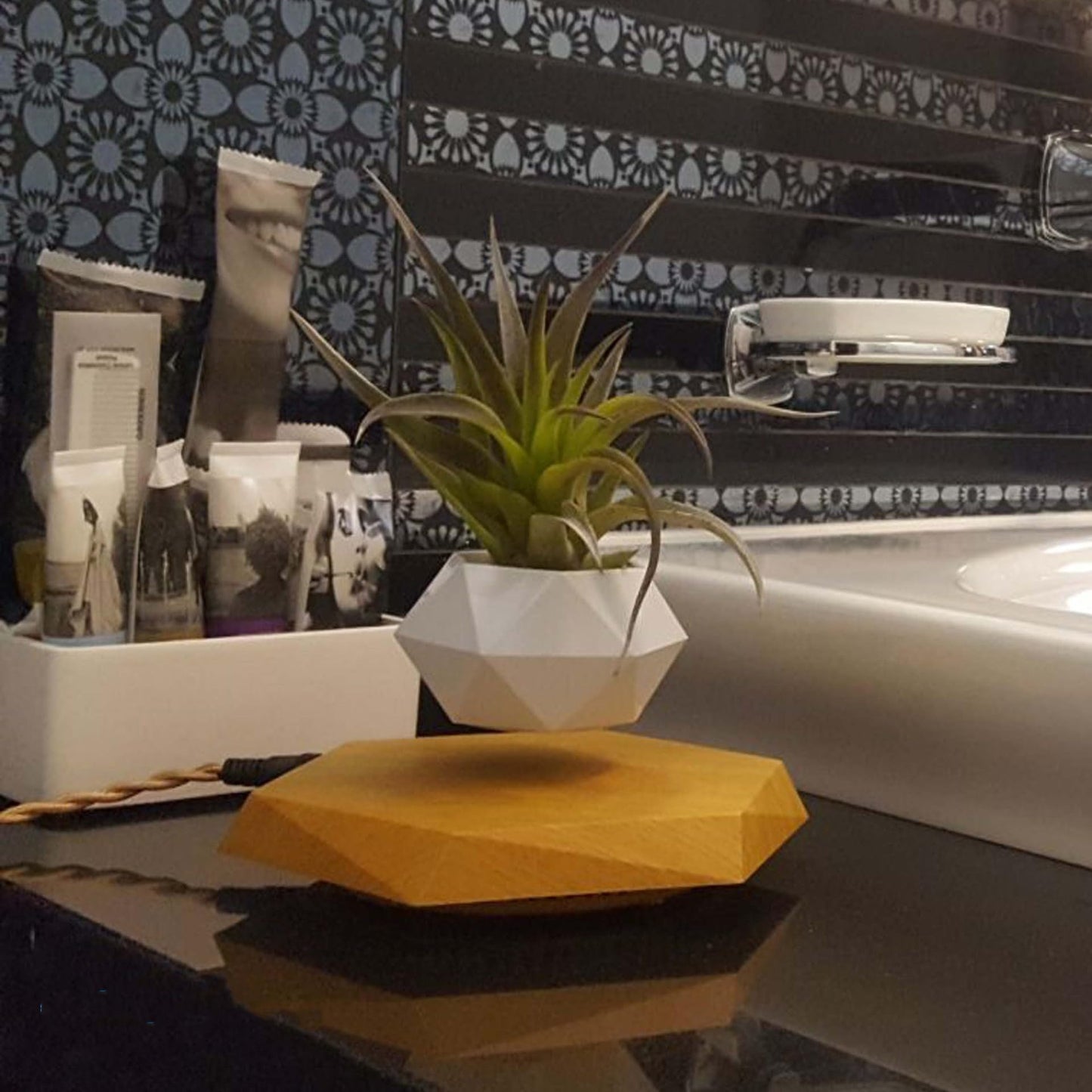 PickMeYA 浮遊植木鉢 - 多肉植物用の磁気回転プランター。自宅、オフィス、デスクのクリエイティブな装飾。インテリジェントな磁気サスペンション、小型植物用のフローティング ポット。浮遊ディスプレイ。